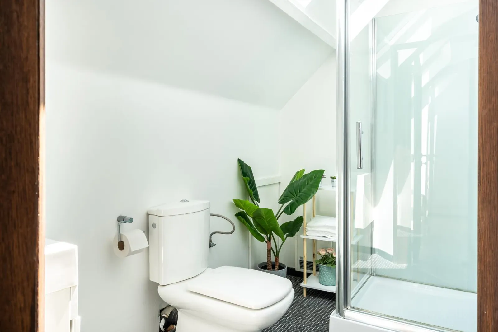The bathroom of The Rose Tree with toilet and shower
